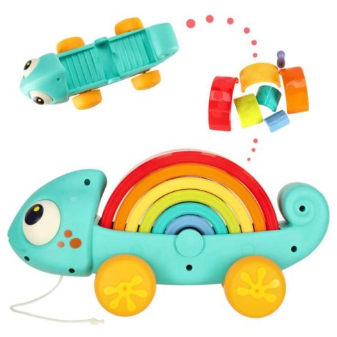 A Kaméleon Válogató Blokkolja A Montessori Húzórejtvényt