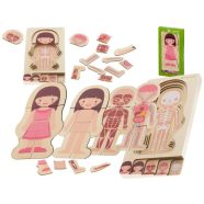 Montessori Lány Fa Réteges Testépítő Puzzle Montessori Lány Fa Réteges Testépítő Puzzle