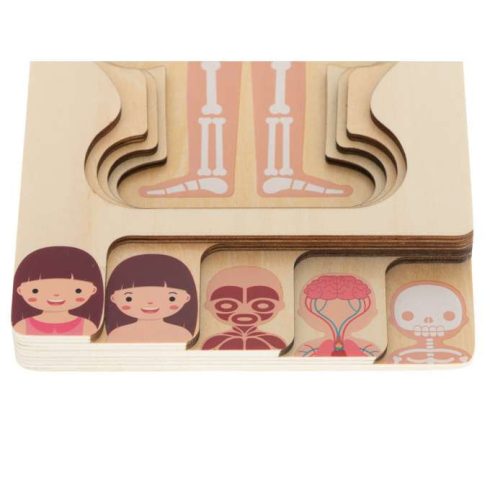 Montessori Lány Fa Réteges Testépítő Puzzle